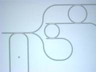 Description: Description: sample 2
