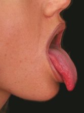 tongue