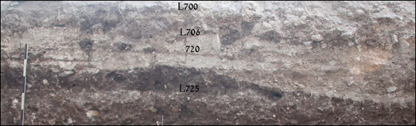 Fig. 5: Section through Iron Age Floor in Area D3