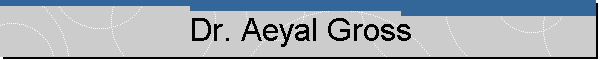 Dr. Aeyal Gross