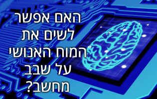 האם אפשר לשים את המוח האנושי על שבב מחשב?