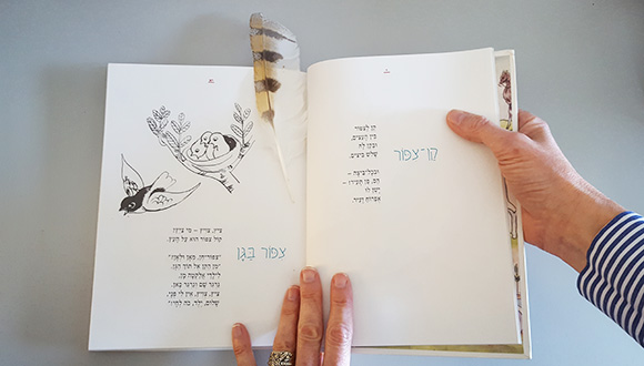 "שירים ופזמונות לילדים" מאת ח.נ ביאליק. איורים: נחום גוטמן. בהוצאת דביר
