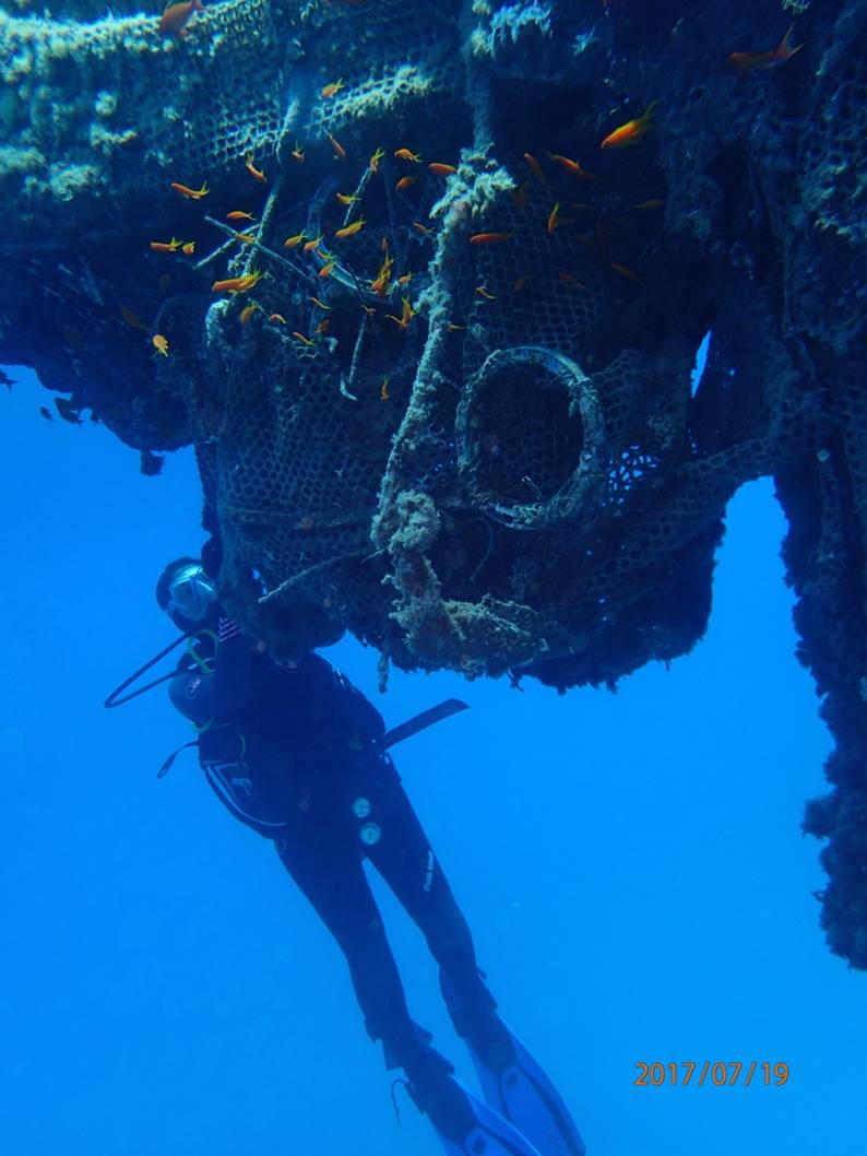 Gal Vered conducting her research at sea