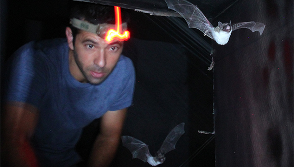 Prof. Yossi Yovel using a sonar to communicate with bats