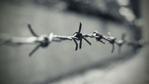 הפיתרון הסופי? חקר השואה בפולין הפוסט-קומוניסטית