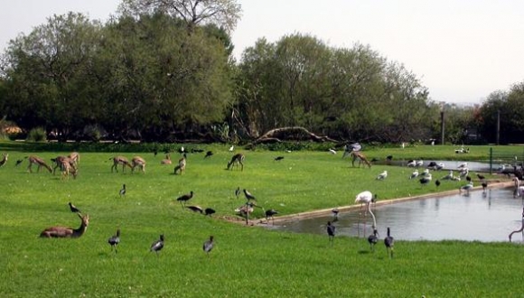 סיור מודרך בגן הזואלוגי של אוניברסיטת תל-אביב