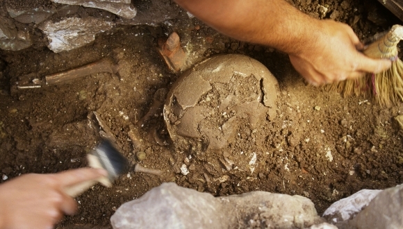 כנס: חידושים בחפירות המכון לארכיאולוגיה של אוניברסיטת תל-אביב, קיץ 2014