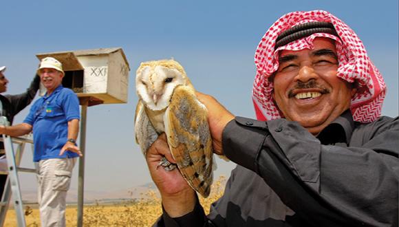 סודות של ציפורים, בינה מלאכותית, חקלאות ירוקה ושלום במזרח התיכון