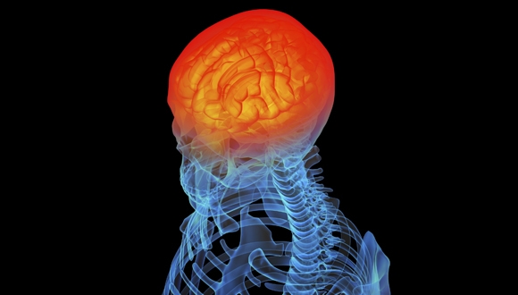מדעי החיים במאה ה-21: "מוח מכל הכיוונים"