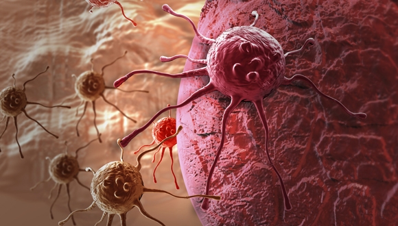 רפואת סייבר: חוקרים מאוניברסיטת תל-אביב ומטקסס מציעים למגר סרטן באמצעות הננוטכנולוגיה הטבעית של הגוף