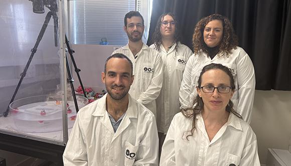 החיים מתוך התנועה: תגלית חדשה חושפת כיצד סדר נולד מתוך סיבוב