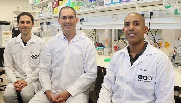 חוקרים באוניברסיטת תל אביב מתריעים: טיפול בשיטת CRISPR עלול לגרום נזק לגנום