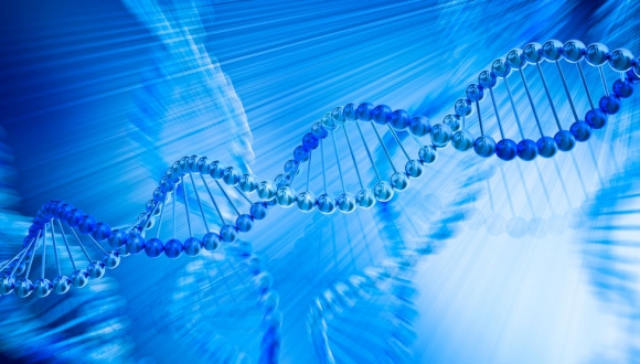 חוקרים מאוניברסיטת תל אביב חשפו חוקים שמכתיבים הורשה אפיגנטית שלא דרך ה-DNA