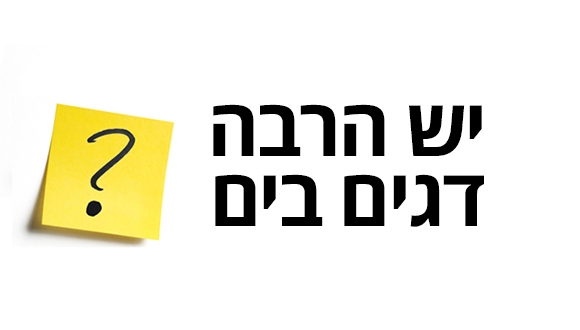 יש הרבה דגים בים