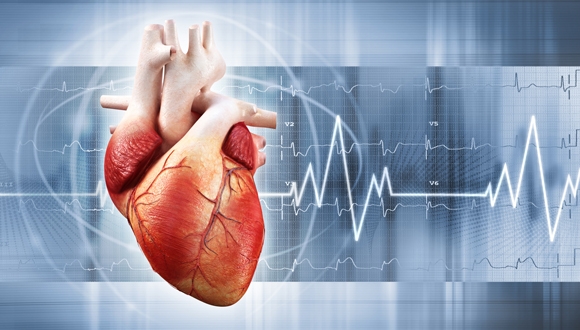 חוקרים מאוניברסיטת תל-אביב פיתחו טלאי לבבי היברידי שעתיד להחליף את השתלות לב