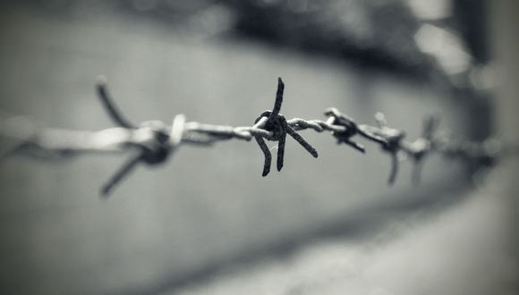 The Rosenburg Files – The Federal Ministry of Justice and the Nazi-Past