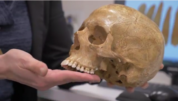 המאובן האנושי העתיק ביותר מחוץ לאפריקה התגלה בישראל