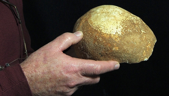 תגלית מדעית חשובה: חוקרים מצאו גולגולת אדם מודרני בת 55 אלף שנה במערת מנות שבגליל המערבי
