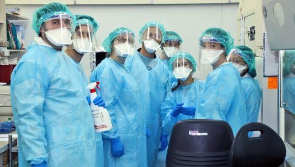 סטודנטים מתנדבים בבית חולים שיבא (צילום: בי"ח שיבא)