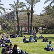 כ-30,000 סטודנטים ילמדו בתשע"ד באוניברסיטת תל-אביב