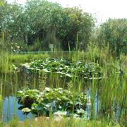 קמפוס טבע קמפוס טבע