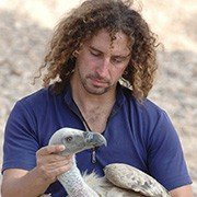 פרופ' אור שפיגל פרופ' אור שפיגל