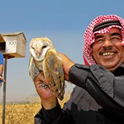 סודות של ציפורים, בינה מלאכותית, חקלאות ירוקה ושלום במזרח התיכון