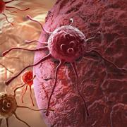 רפואת סייבר: חוקרים מאוניברסיטת תל-אביב ומטקסס מציעים למגר סרטן באמצעות הננוטכנולוגיה של הגוף
