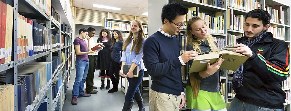 מגוון ובינתחומיות