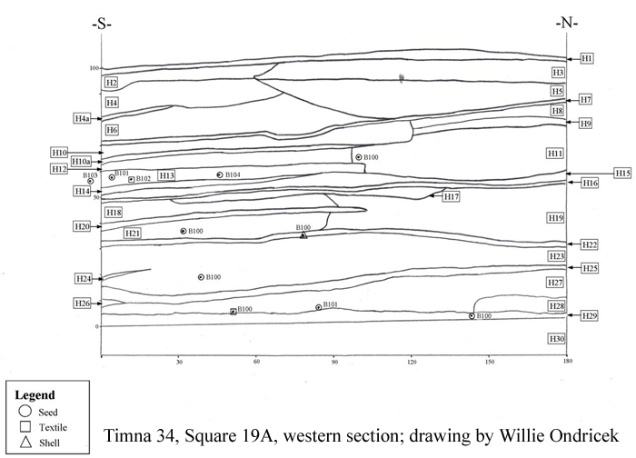 section drawing