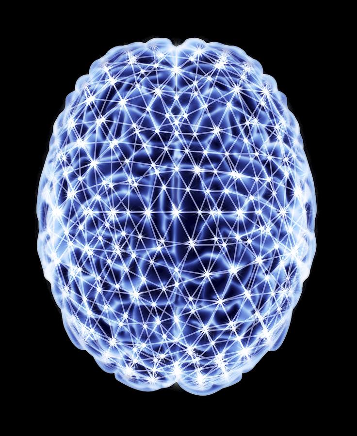 Brain Pumber