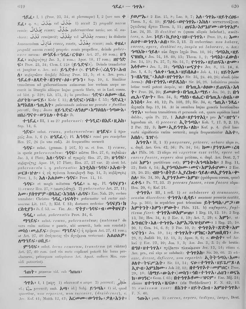 Dillmann's Lexicon