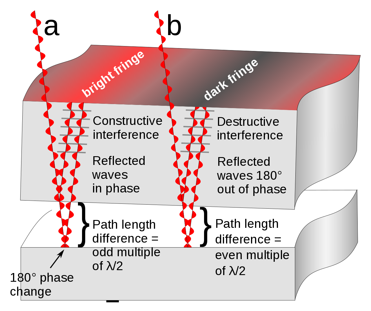 Moiré pattern, Optical Interference, Wave Phenomenon & Diffraction