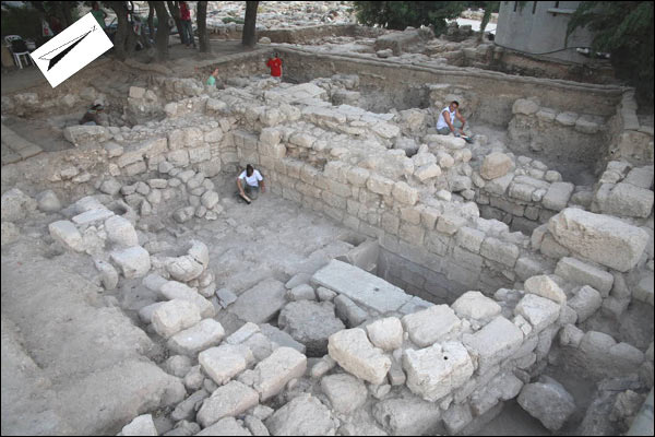 Fig. 2: Area D1 (2007)