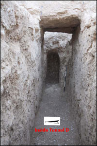 Fig. 13: Tunnel D, looking east
