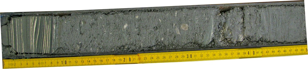 Turbidite