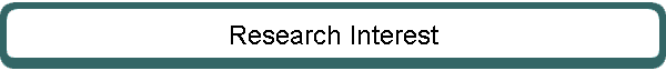 Research Interest