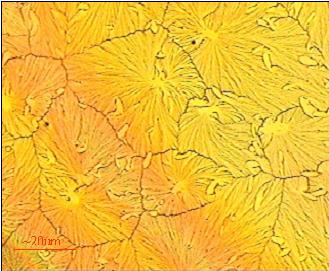 A solution of dipeptide nanotubes mixed with N-methylpyrrolidinone that was heated and dried on a gold substrate.