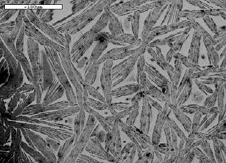 Dried dipeptide nanotubes with phenol solved in methanol solution.