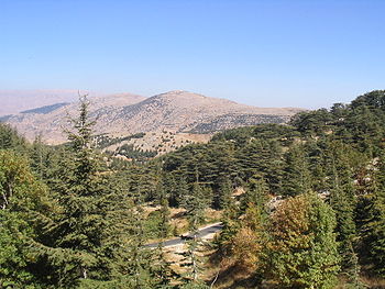 A view from Barouk, in the Shouf district of Mount Lebanon, showing the Mountain's famous cedars.