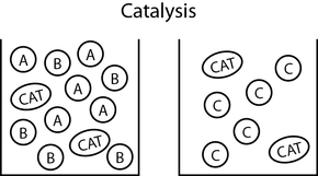 Fig. 1: The catalysis cycle and its elementary steps.