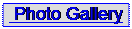 Text Box:  Photo Gallery